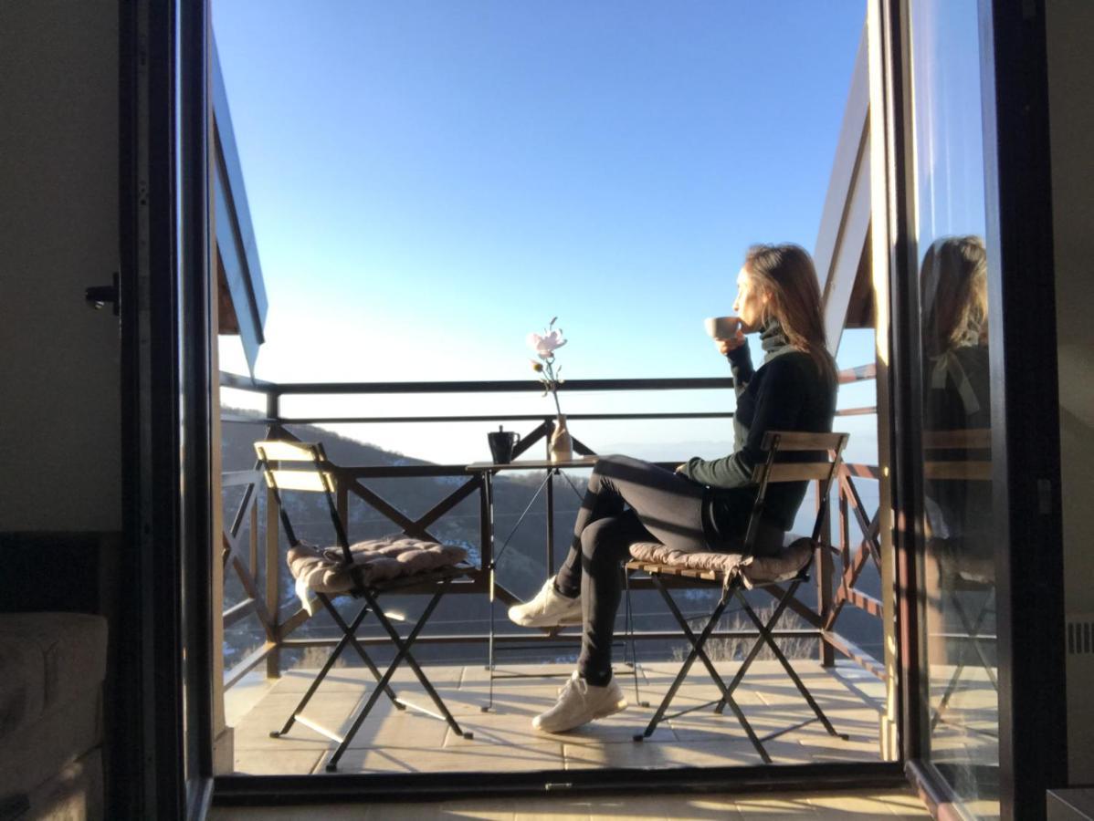 Apartments View Dvori E25 Копаоник Екстериор снимка