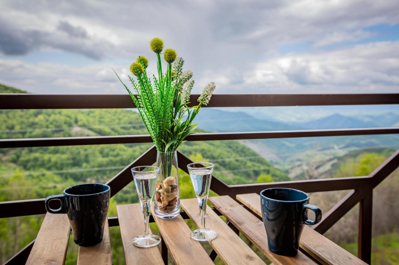 Apartments View Dvori E25 Копаоник Екстериор снимка